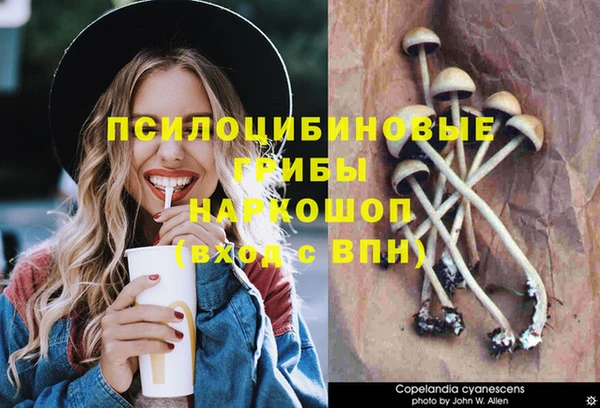 круглые Новокубанск