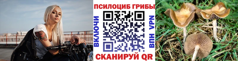 Галлюциногенные грибы мицелий  Иннополис 